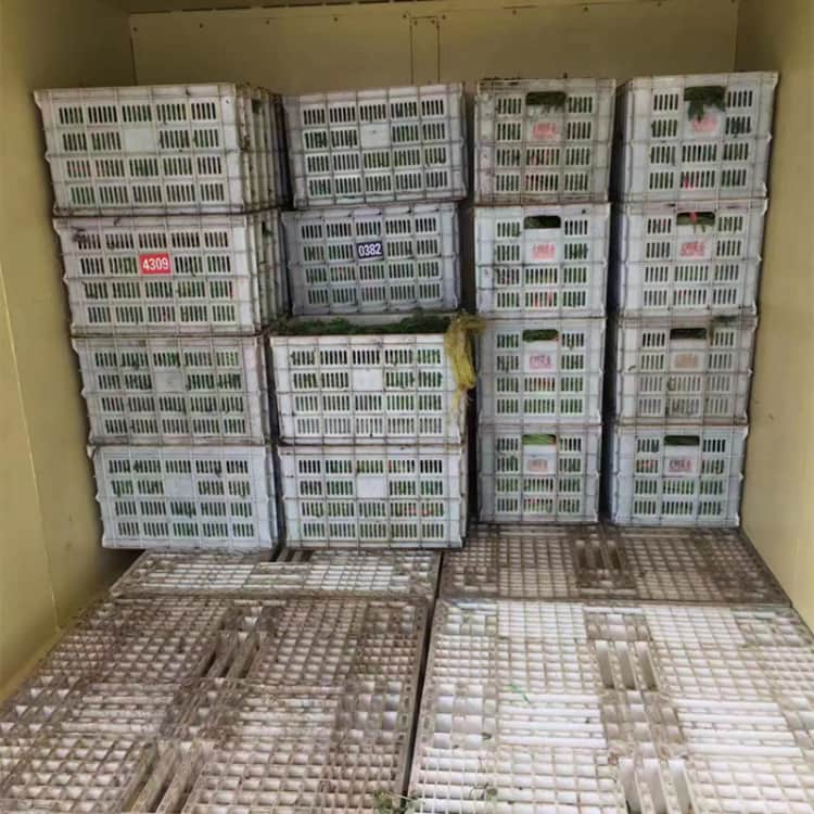 有机农场蔬菜真空预冷机博帆叶菜类打冷机保鲜速冷设备第17张
