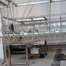 家禽脱毛一体机 鸡鸭鹅自动脱毛机 散养鸡脱毛设备 满运