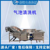 蔬菜气泡清洗机 果蔬喷淋式清洗设备 净菜清洗流水线 景翔牌