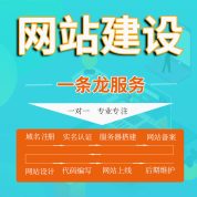 公司官网制作 网站维护 网站优化改版 专业做网站公司