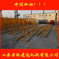 2021年塔机新 百脉建机TC6012-8吨塔帽塔吊