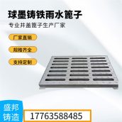 盛邦铸造-球墨铸铁雨水篦子 450*750平篦式雨水口盖板 多场景适应