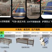 中央厨房预制菜净菜叶类蔬菜海鲜清洗机去泥去农残设备流水生产线