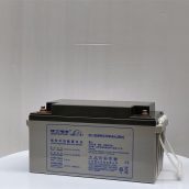理士蓄电池DJM1265 12V65AH直流屏 通信 机房UPS电源用
