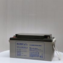 理士蓄电池DJM1265 12V65AH直流屏 通信 机房UPS电源用