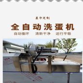 鸡蛋清洗机 多功能松花蛋清洗设备 蛋品保洁机器 星华定制