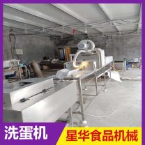 洗蛋机 蛋品清洗机 鸡蛋鸭蛋全自动保洁设备 星华定制