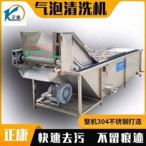 多功能果蔬清洗机 全自动洗菜机 高压喷淋气泡清洗设备 正康机械