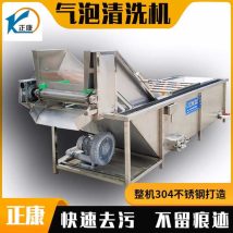 多功能果蔬清洗机 全自动洗菜机 高压喷淋气泡清洗设备 正康机械