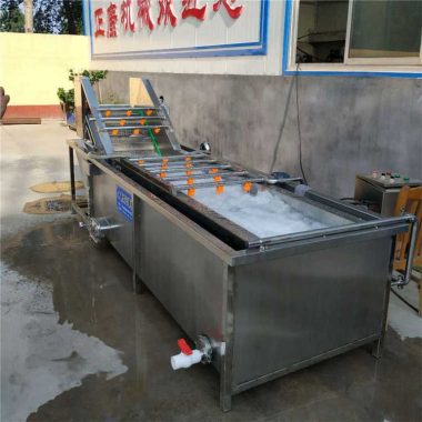 多功能果蔬清洗机 全自动洗菜机 高压喷淋气泡清洗设备 正康机械第2张