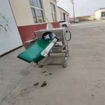 全自动不锈钢瓜果切半切分机 分送多功能切菜机 豪联机械