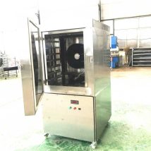 商用液氮速冻机 蔬菜丁速冻加工设备 低温速冻设备供应