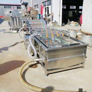 气泡清洗机 红薯鱼腥草喷淋式洗菜机 全自动水果蔬菜清洗设备第5张