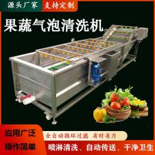 果蔬气泡清洗机 洗玉米中药材机器 大型洗菜机 酱菜脱盐设备