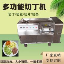 商用切块机 多功能猪肉切片机 全自动鲜肉冻肉切丁机器