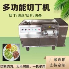 商用切块机 多功能猪肉切片机 全自动鲜肉冻肉切丁机器